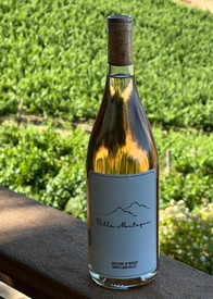 2023 Rosé of Merlot